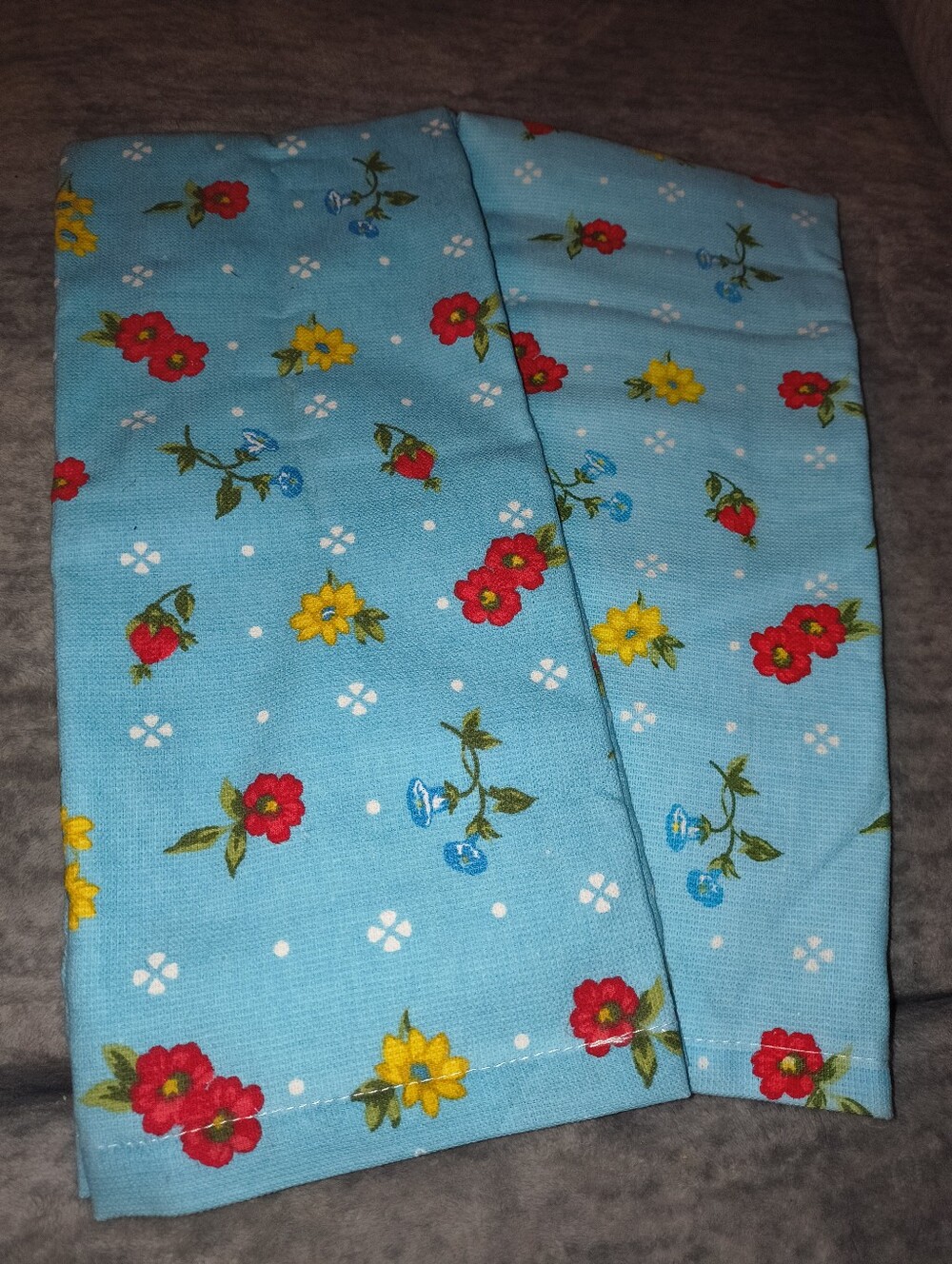 Set Of 2 Pioneer Woman Floral Hand towels